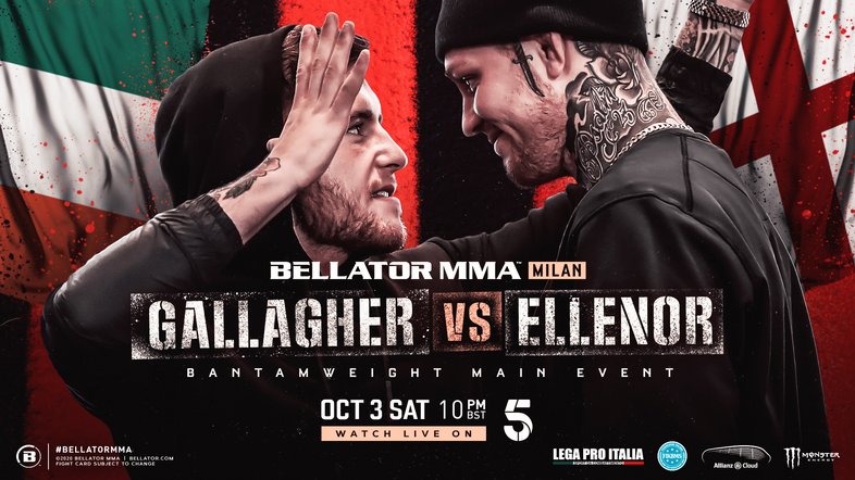 Gallagher vs Ellenor